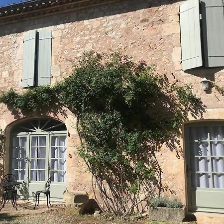 Domaine De La Durantie Duplex Vieux Chateau Castelnau-de-Montmiral Esterno foto