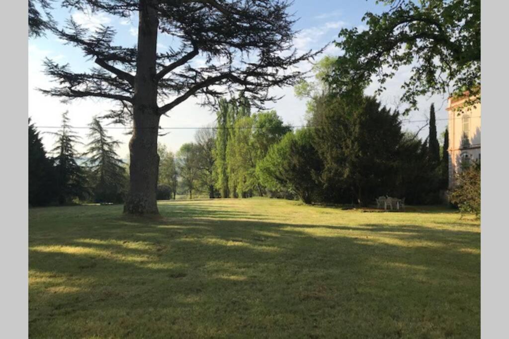 Domaine De La Durantie Duplex Vieux Chateau Castelnau-de-Montmiral Esterno foto