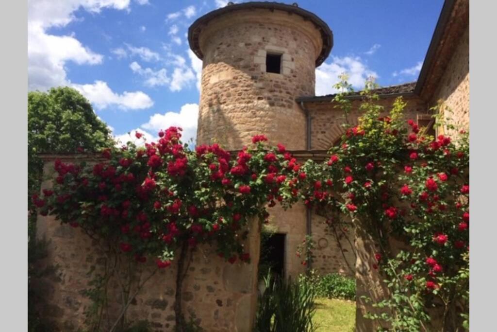 Domaine De La Durantie Duplex Vieux Chateau Castelnau-de-Montmiral Esterno foto