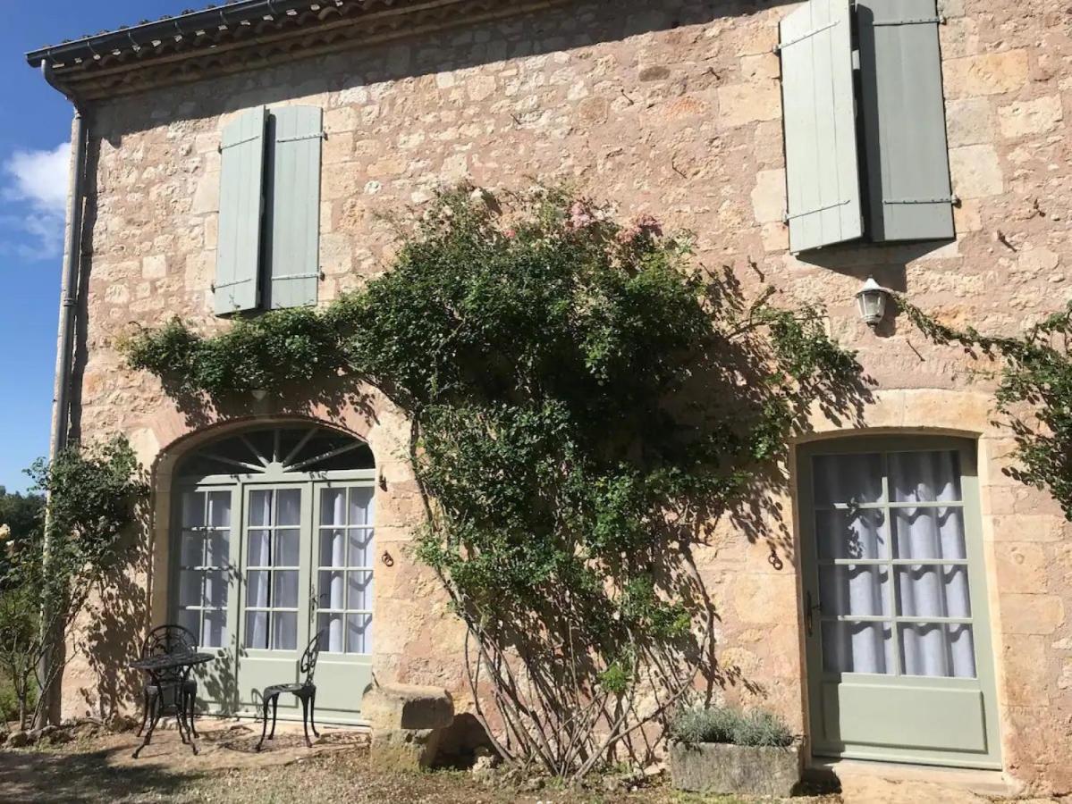 Domaine De La Durantie Duplex Vieux Chateau Castelnau-de-Montmiral Esterno foto